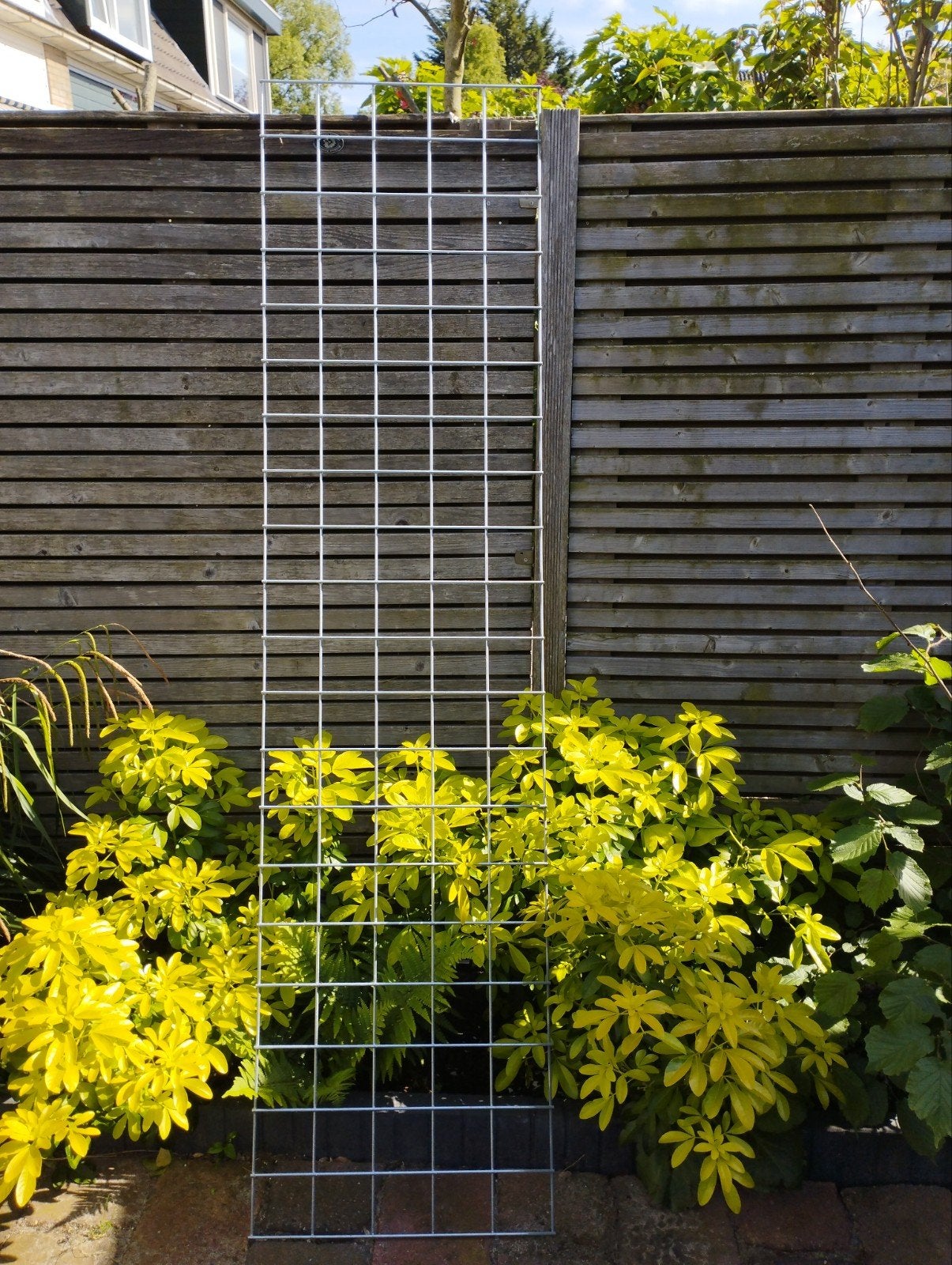 Draadmat verzinkt 50x200 geschikt als plantenrek, Tuin en Terras, Schuttingen, Ophalen, Minder dan 3 meter, Zo goed als nieuw
