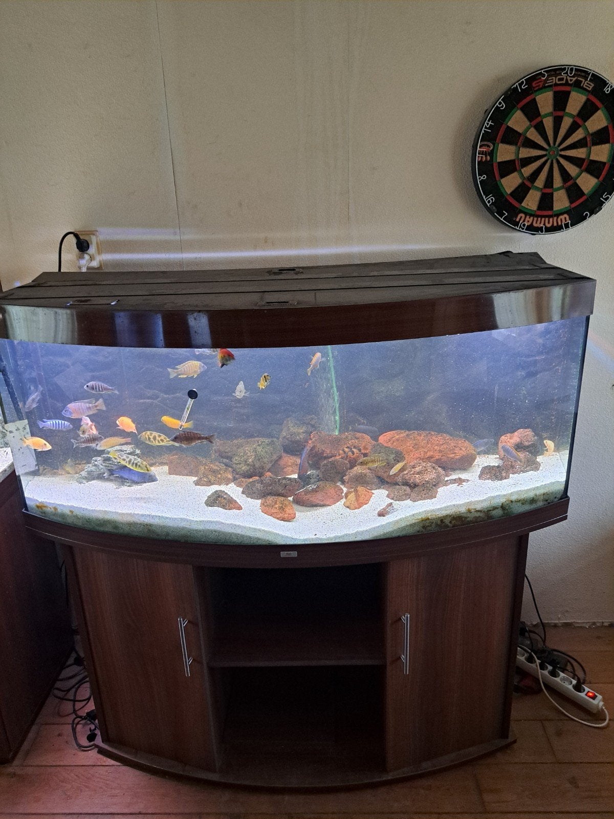 juwel vision 450 met cichlides, Ophalen, Gebruikt, Inclusief toebehoren, Gevuld zoetwateraquarium