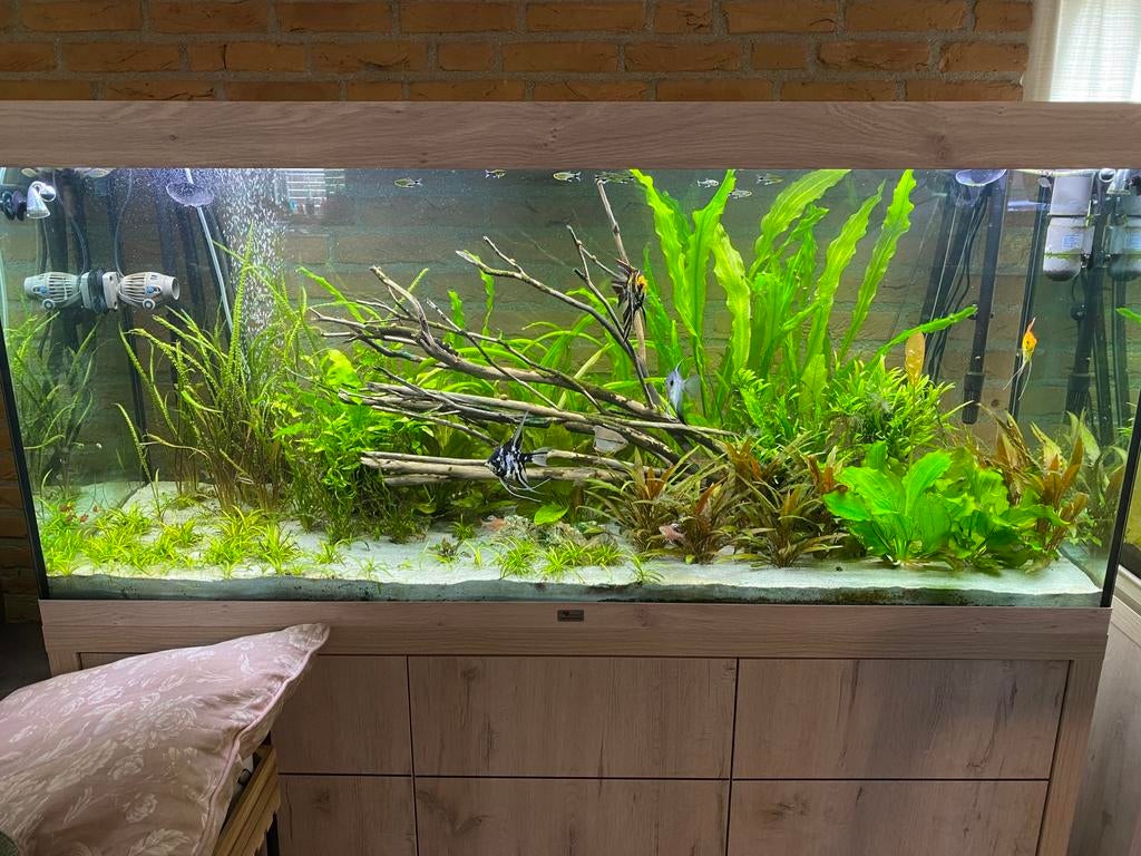 Aquatlantis Sublime 150x50 + tech, Dieren en Toebehoren, Ophalen, Inclusief vissen, Aquatlantis, Gevuld zoetwateraquarium