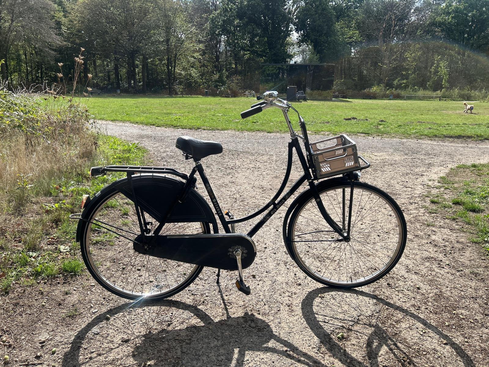 Women’s City Bike, 53 tot 56 cm, Ophalen of Verzenden, Gebruikt, Overige merken
