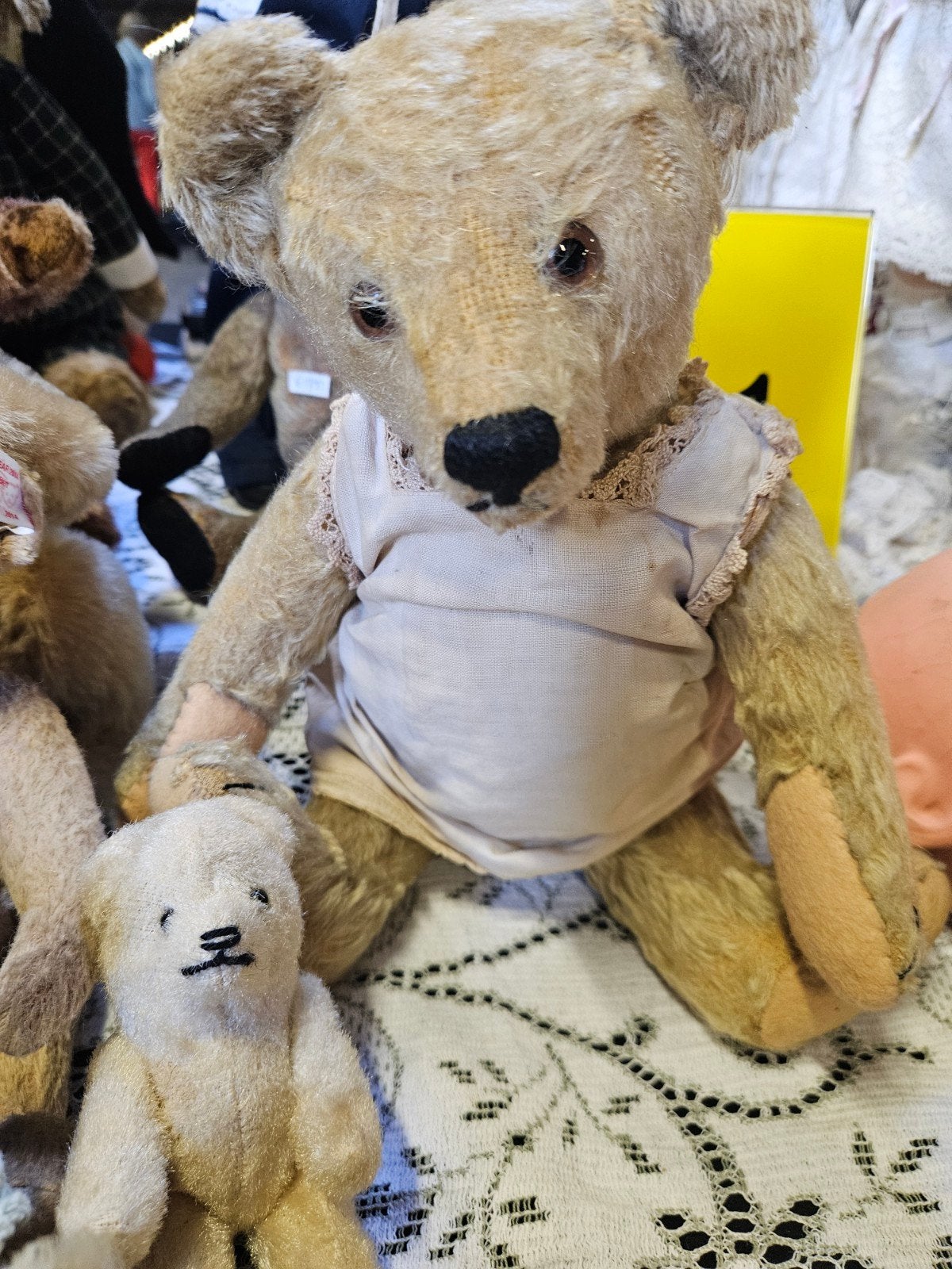 Oude Steiff beer, 30 cm, zonder knopje, Ophalen of Verzenden, Gebruikt