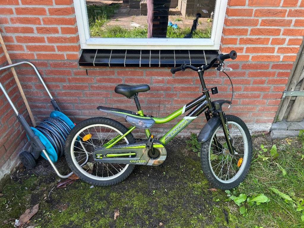 Fiets, Ophalen, Terugtraprem, Gebruikt, Alpina