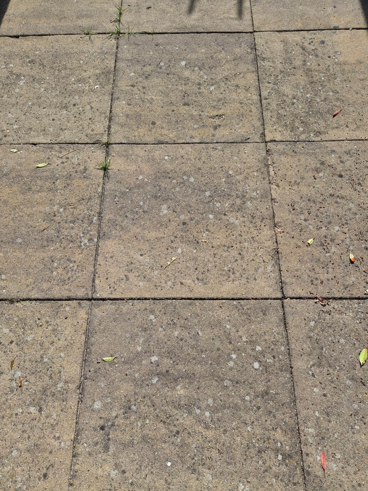 29 tuintegels, Ophalen, Beton, Terrastegels