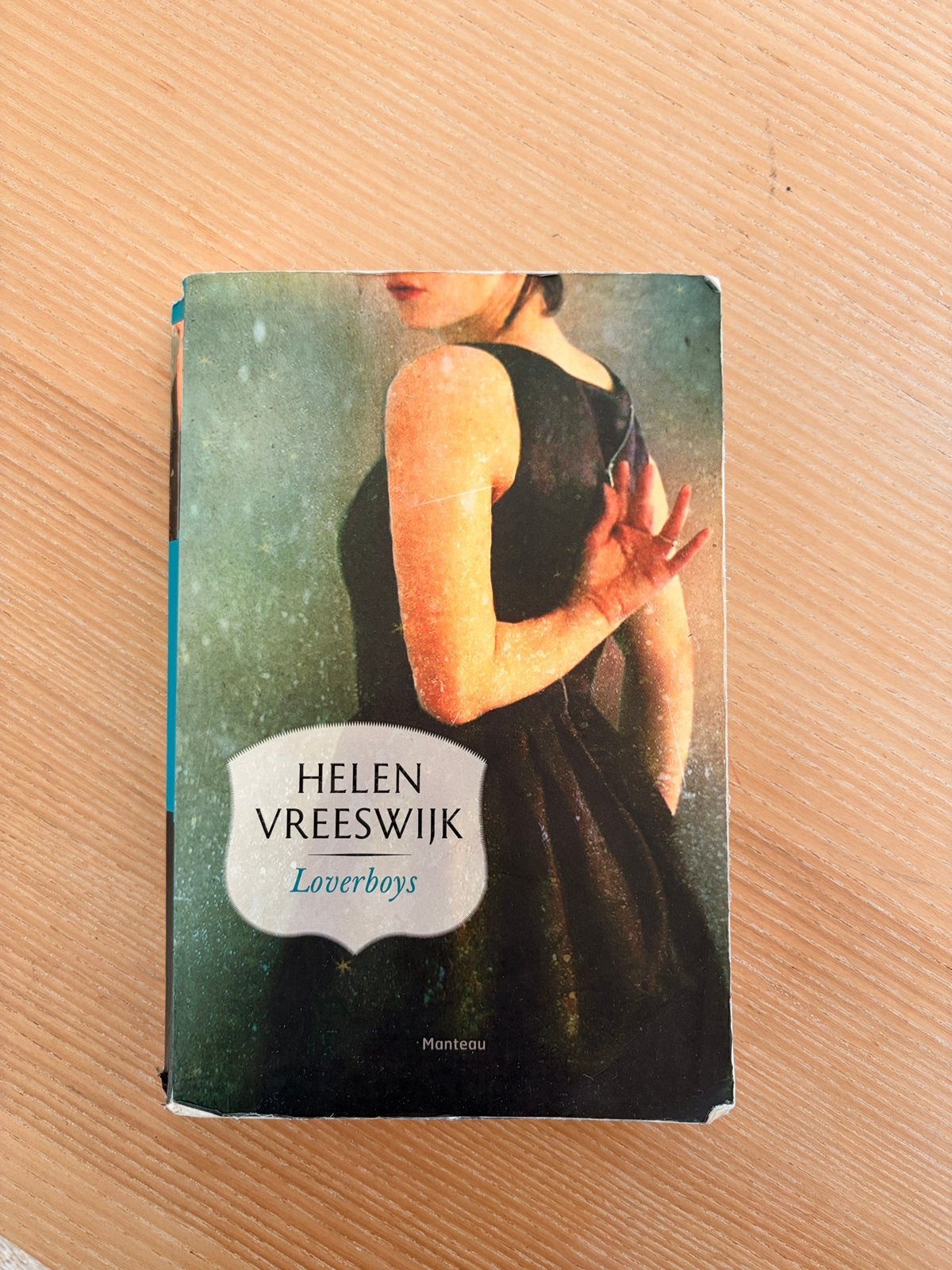 Lees boek Helen Vreeswijk, Boeken, Ophalen of Verzenden, Zo goed als nieuw