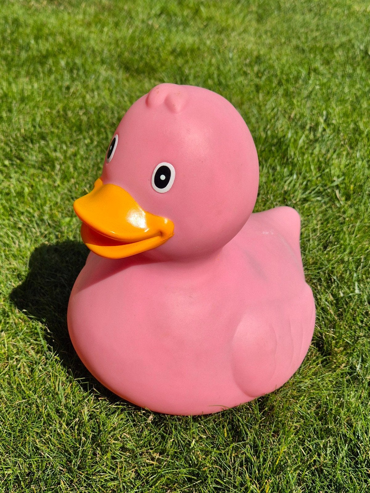 Roze badeend, Kinderen en Baby's, Ophalen, Gebruikt, Badeend