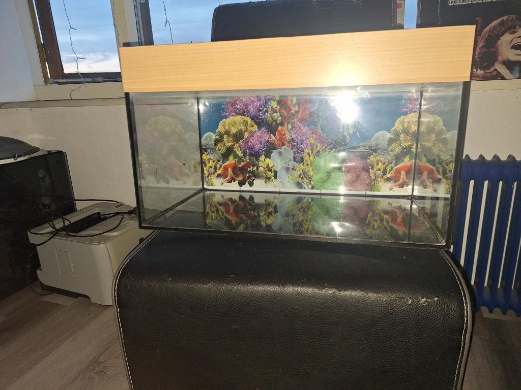 Juwel aquarium, Ophalen, Zo goed als nieuw, Leeg aquarium, Juwel