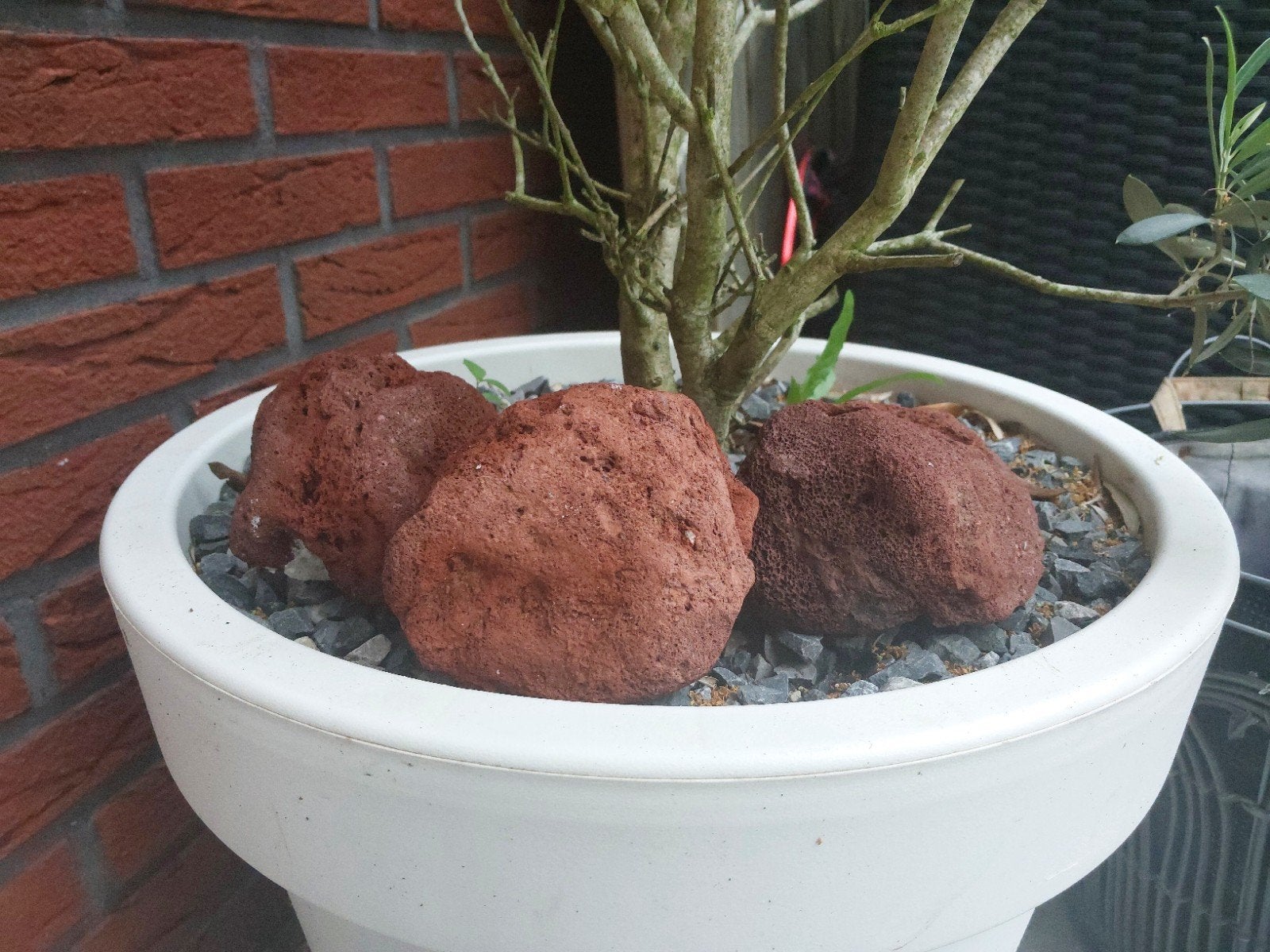 Lava stenen, Ophalen, Plant(en), Steen of Hout