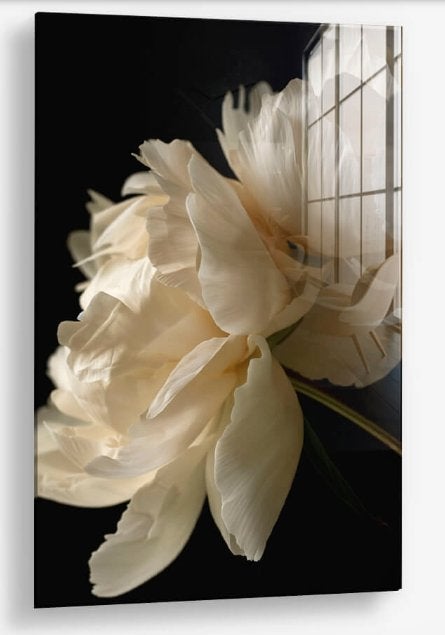 Glasschilderij Pastel Flower 80x120 met lijst - Gehard glas, Ophangklaar, Stilleven, Glas, Ophalen of Verzenden