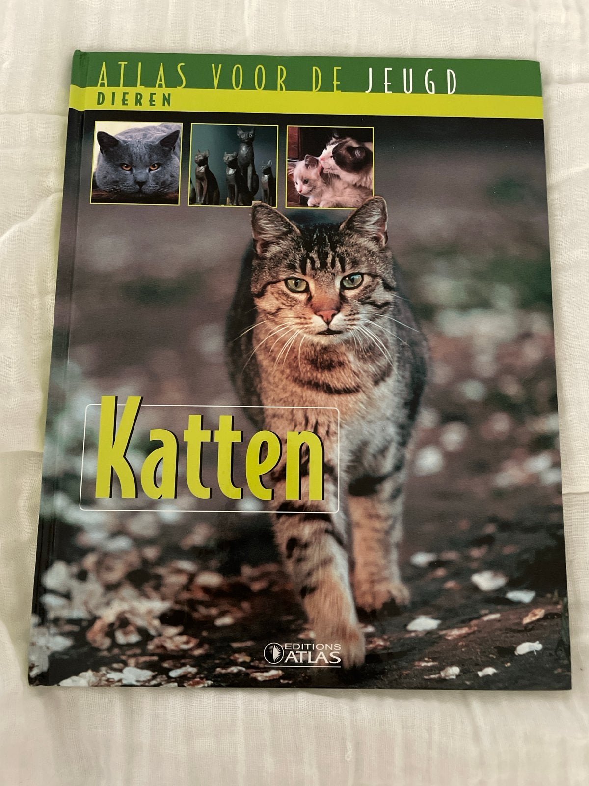 Atlas voor de Jeugd: Katten - Alles over katachtigen, Boeken, Ophalen of Verzenden, Zo goed als nieuw, Non-fictie