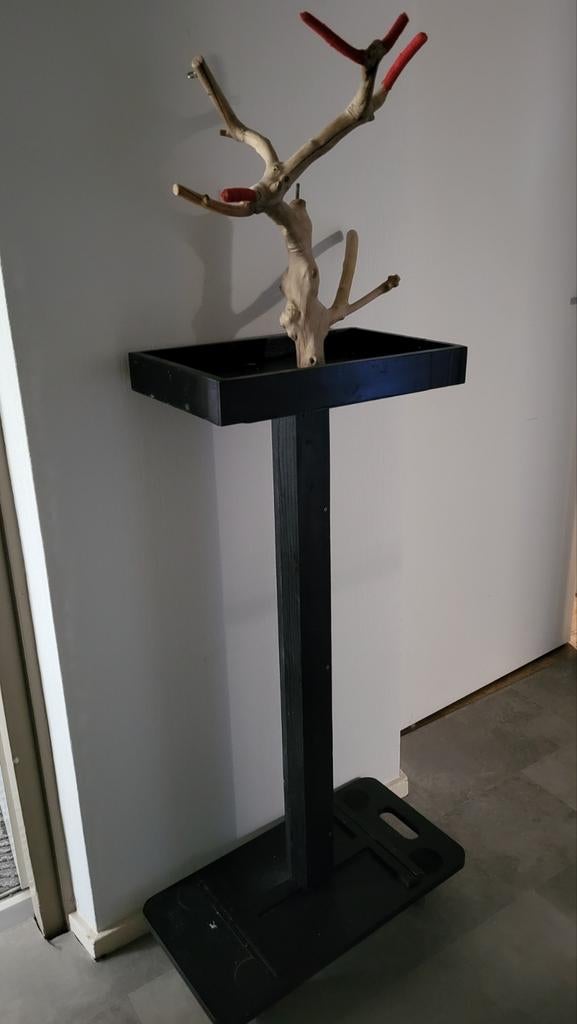 Javaboom, Dieren en Toebehoren, Ophalen