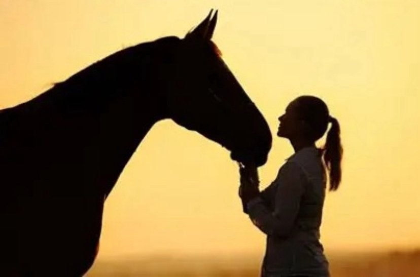 Twee enthousiaste ervaren meiden zoeken leuke verzorgpony