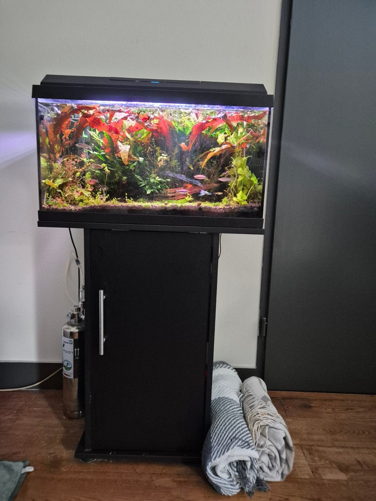super goed draaiend aquarium, Ophalen, Gebruikt, Inclusief vissen, Gevuld zoetwateraquarium