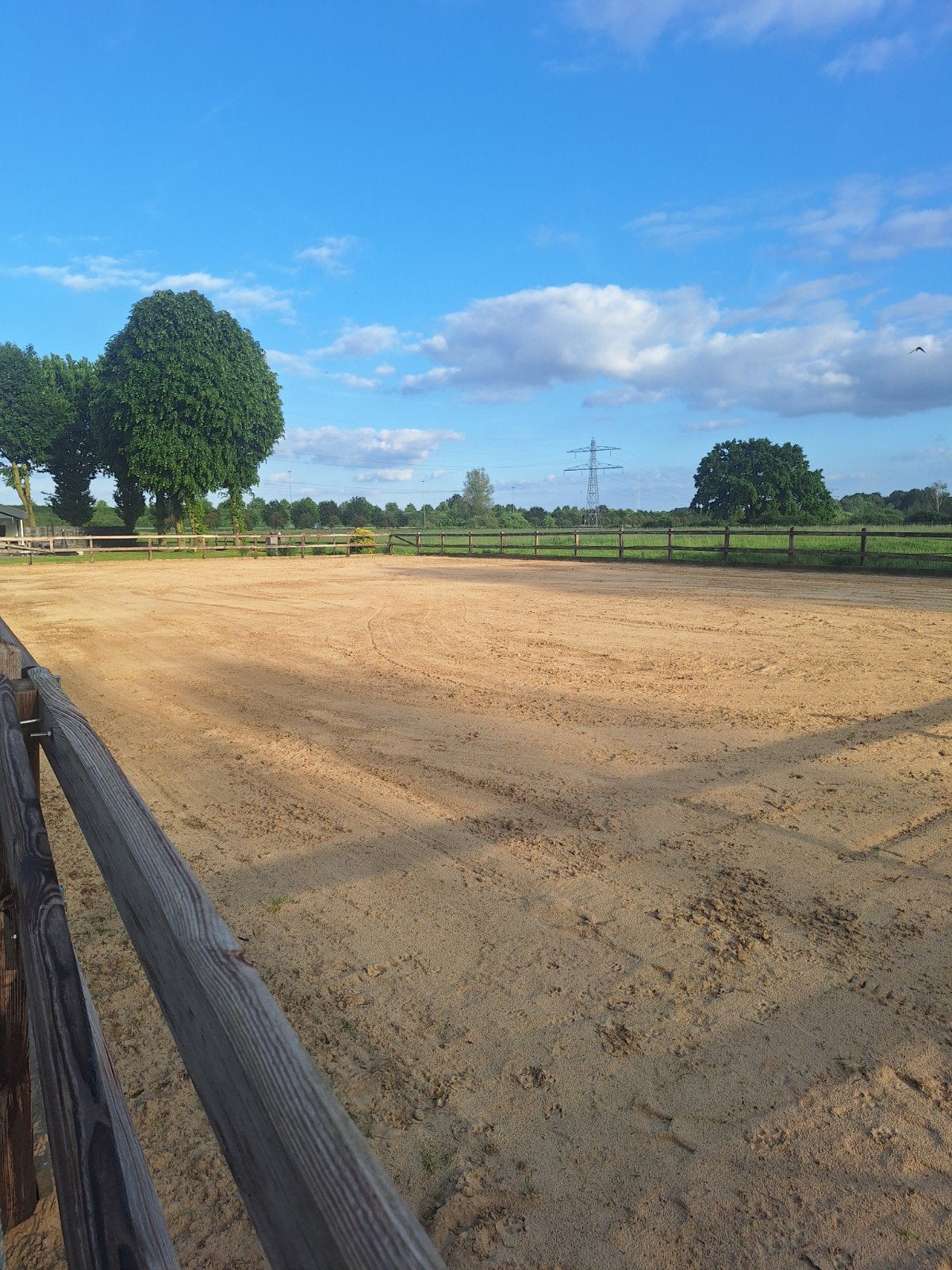 Stalling met weidegang, Weidegang