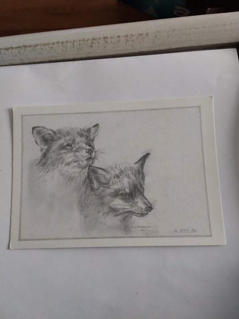 E. VAN. MERKERK.   DE WILDE VOS, Ophalen of Verzenden, 1960 tot 1980, Overige thema's