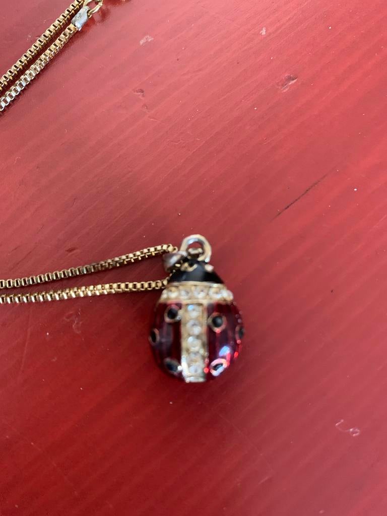 Ketting met Lieveheersbeestje Hanger, Nieuw, Ophalen of Verzenden, Rood, Overige materialen