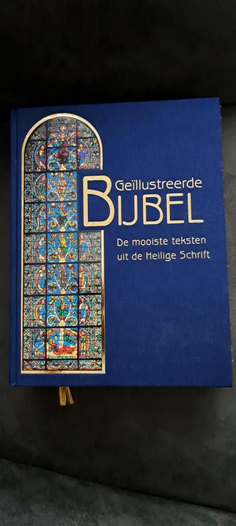 Geïllustreerde Bijbel - Reader's Digest, Ophalen, Zo goed als nieuw, Reader's Digest, Christendom | Katholiek