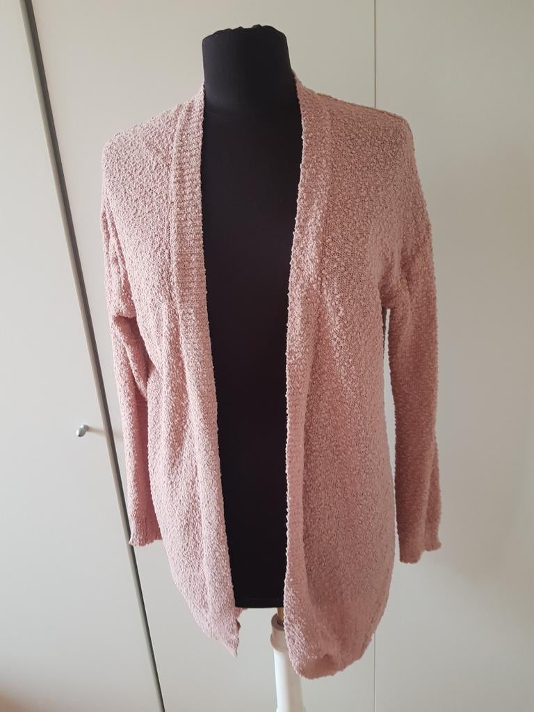 Roze Hema vest - maat L ***zgan***, Kleding | Dames, Truien en Vesten, Maat 42/44 (L), Ophalen of Verzenden, Zo goed als nieuw