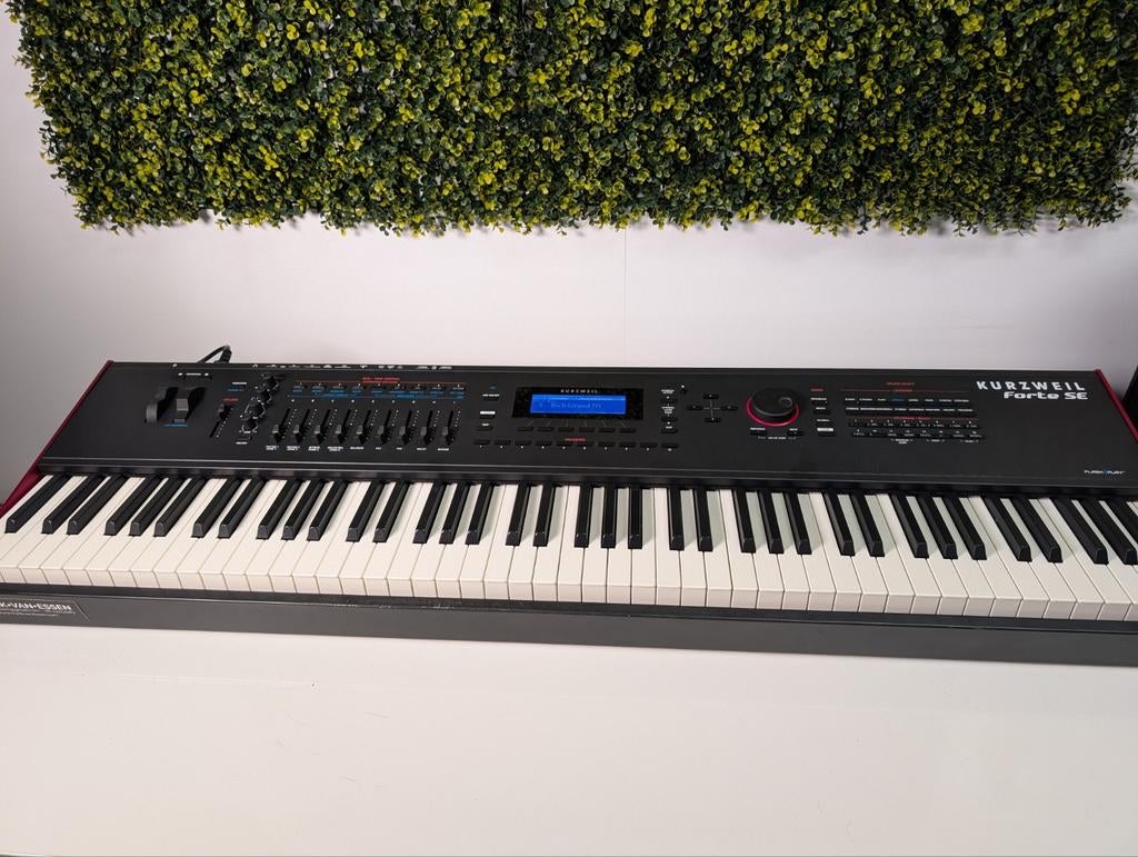 TEAB ACTIES Kurzweil Forte SE - Was van Frank van Essen, Muziek en Instrumenten, Overige merken, 88 toetsen, Kurzweil fabriek