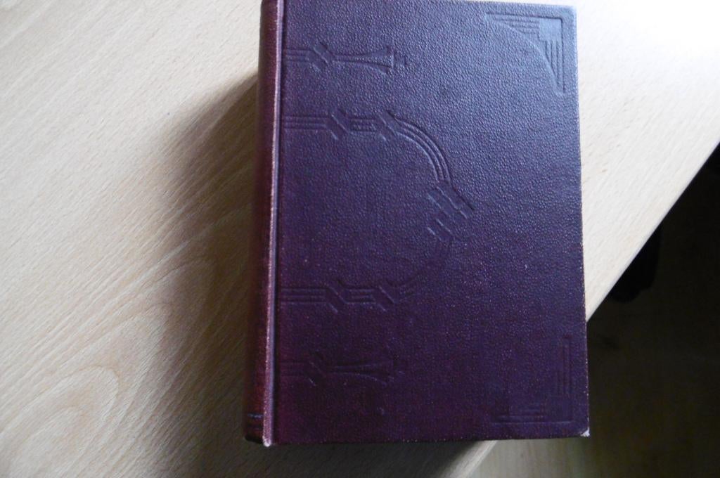 Campagne's Schoolwoordenboek Engelsche en Nederlandsche taal, Boeken, Woordenboeken, Gelezen, Ophalen of Verzenden, Engels, Overige uitgevers