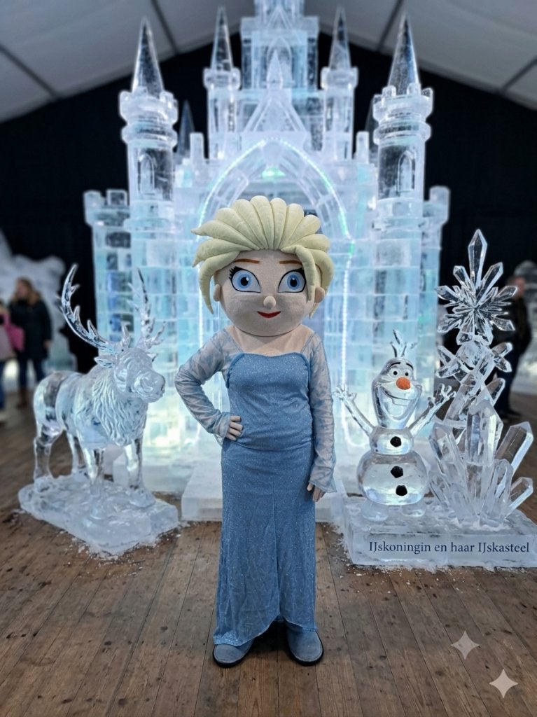Mascotte Elsa uit Frozen, Ophalen of Verzenden, Zo goed als nieuw, Verjaardag