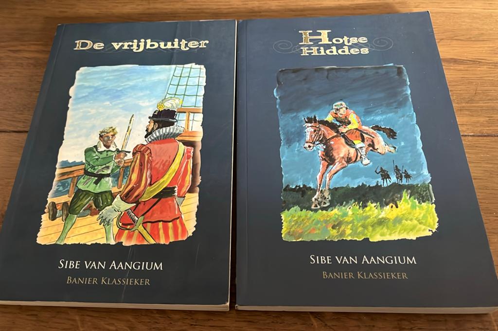 Hotse Hiddes en De Vrijbuiter, Ophalen of Verzenden, Gelezen