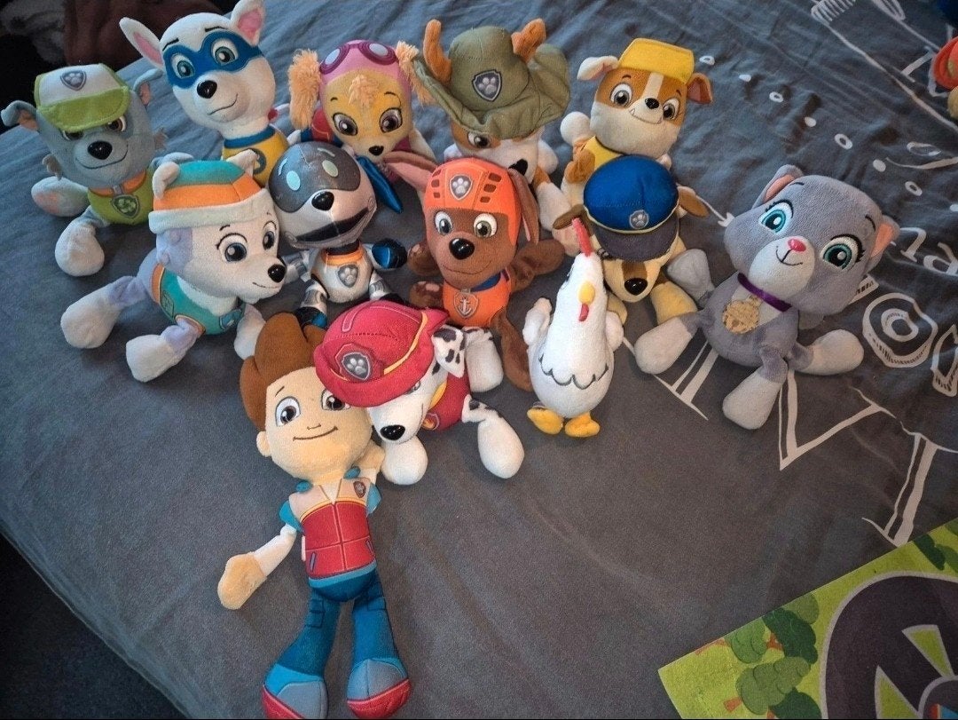 Grote collectie Paw Patrol knuffels - diverse karakters, Ophalen, Gebruikt, Hond, Middelgroot (20 tot 80 cm)