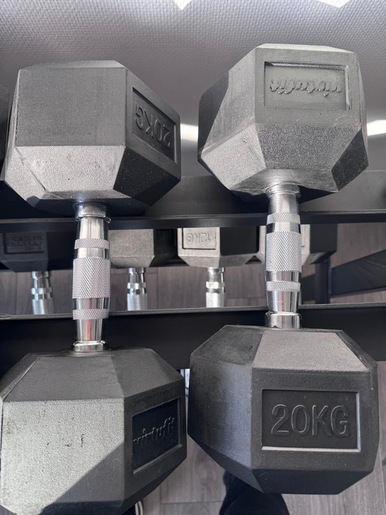 Hexa dumbbells 20kg per stuk, Ophalen, Gebruikt, Armen, Dumbbell