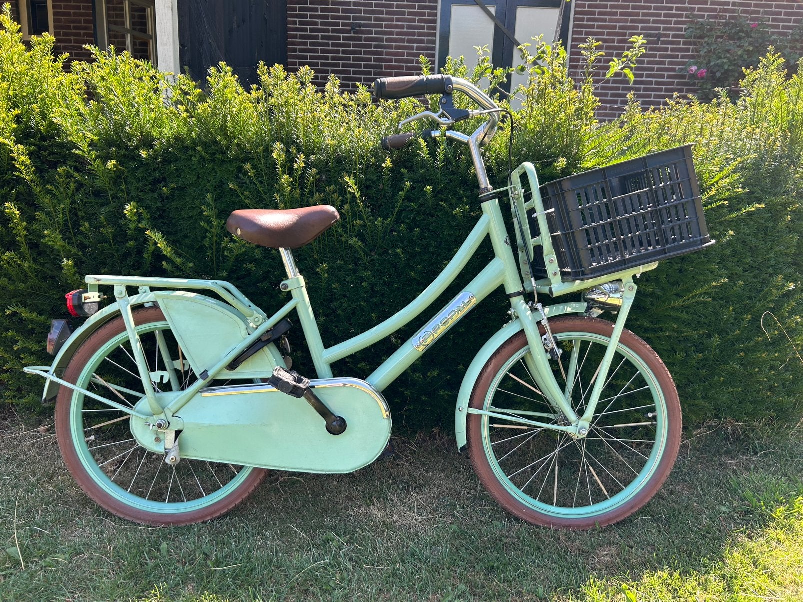 Popal 20 inch kinderfiets - transportfiets voor kinderen, Fietsen en Brommers, Ophalen, Gebruikt, Terugtraprem, 20 inch of meer