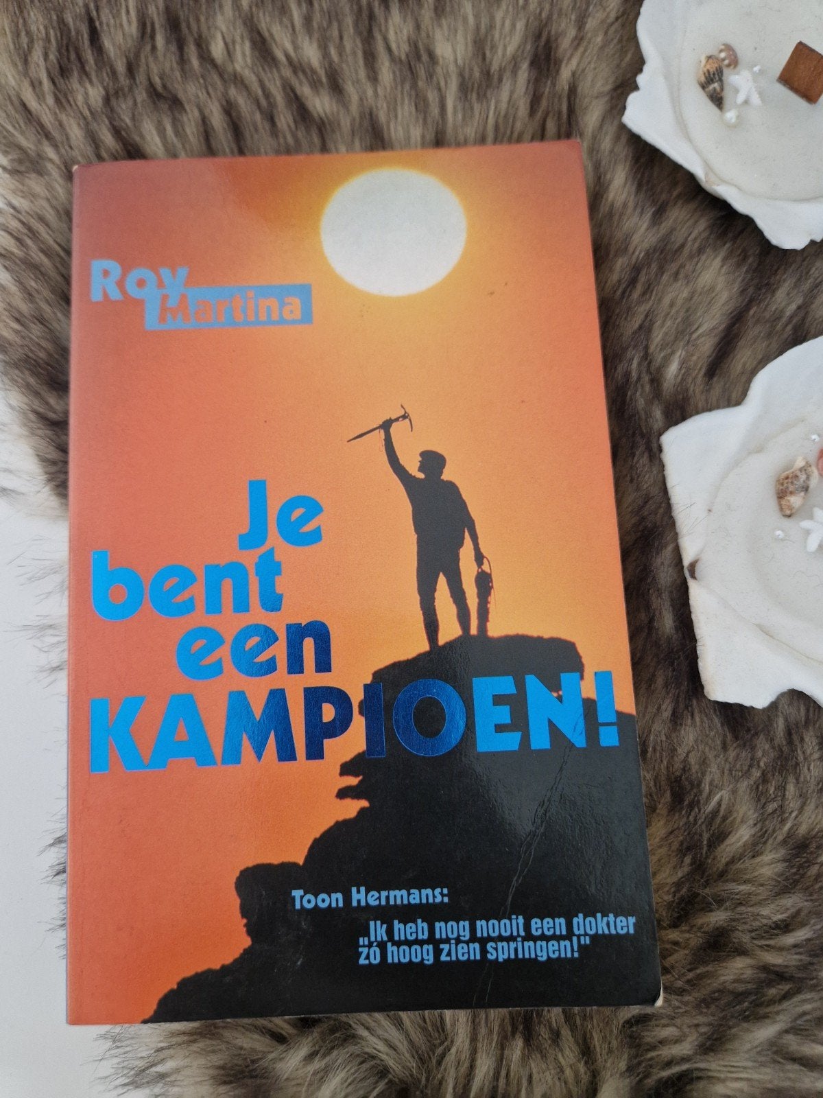 Je bent een KAMPIOEN! - Roy Martina (ISBN 9789055990191), Ophalen of Verzenden, Gelezen, Roy Martina