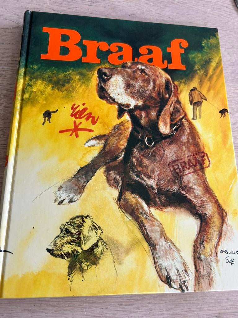 Teab, Boek: Braaf, Boeken, Ophalen of Verzenden, Zo goed als nieuw, Honden