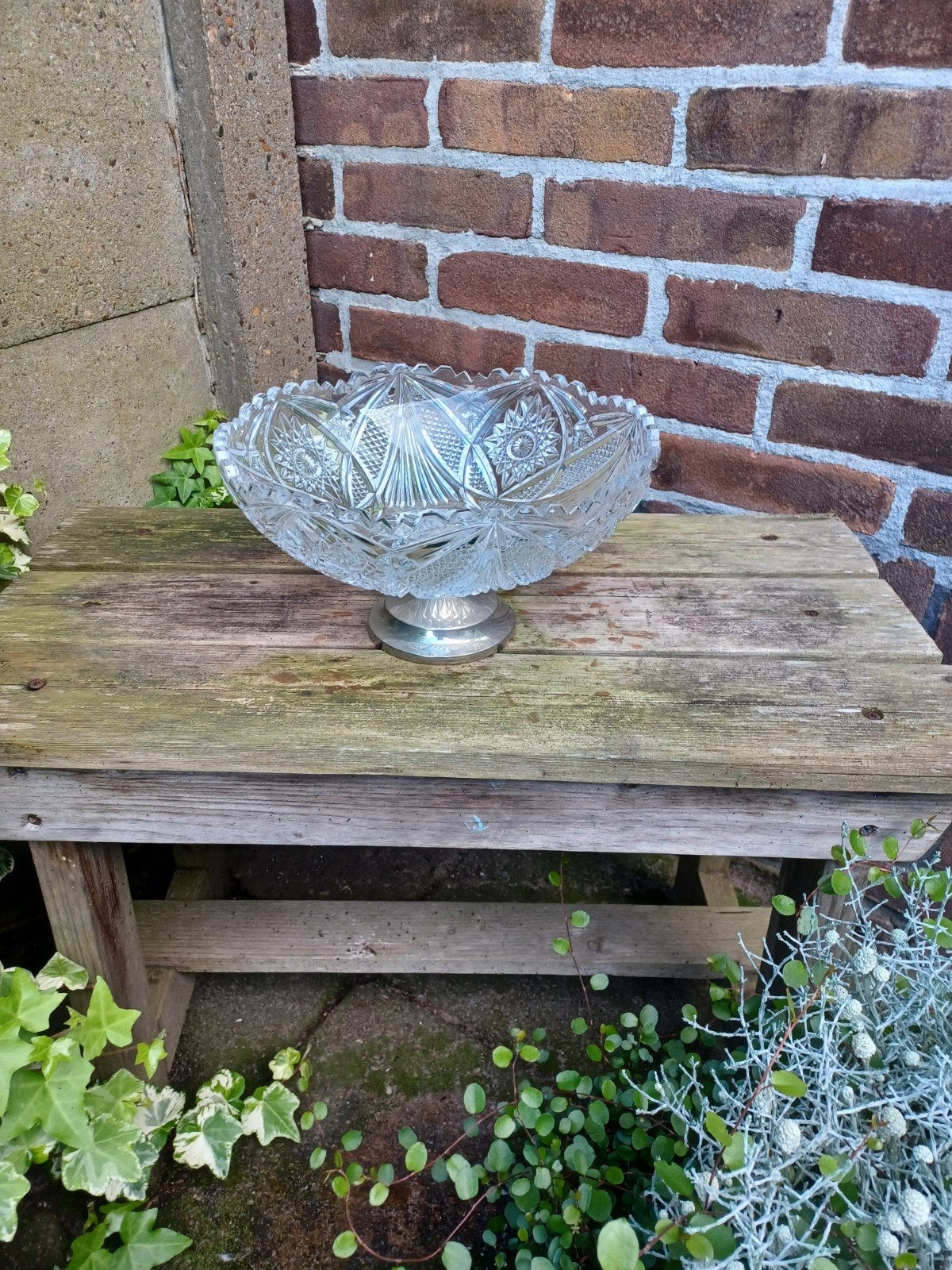 te koop fruitschaal, Ophalen of Verzenden, Minder dan 25 cm, Minder dan 100 cm