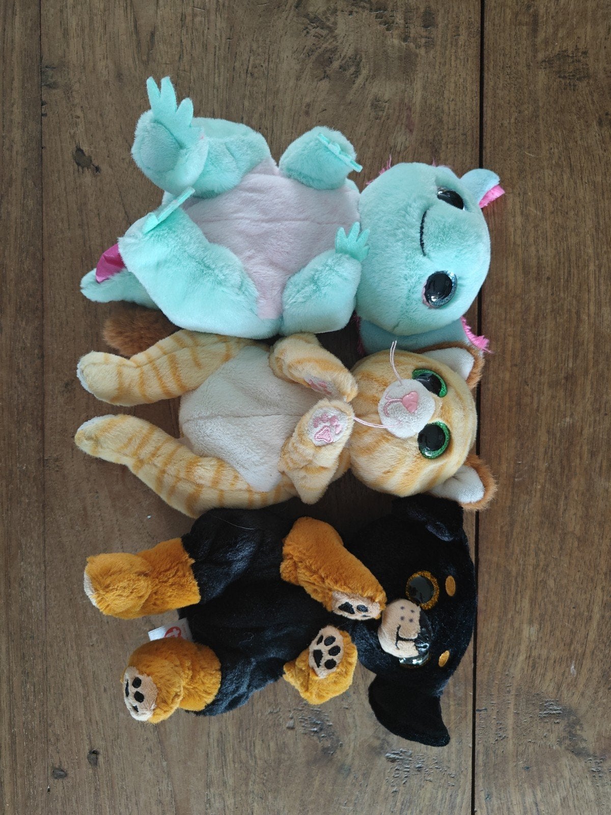 Leuke TY knuffels: kat, axelotl en hond, Oranje, Ophalen of Verzenden, Ty, Met label