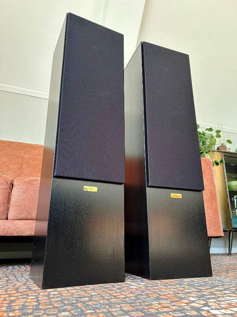 Etude Ikaros - refurbished - Klinken fantastisch !, Audio, Tv en Foto, Vloerstaande luidspreker, Refurbished, Basreflex, Ophalen