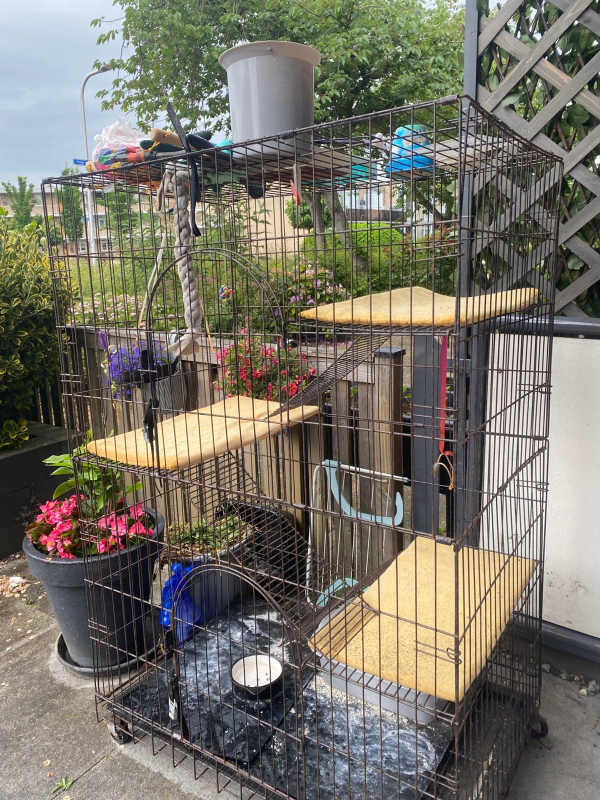 katten bench GRATISAFHALEN, Ophalen, Gebruikt