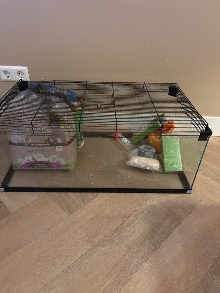 Hamster kooi glas, Dieren en Toebehoren, Kooi, Zo goed als nieuw, Hamster, 75 tot 110 cm