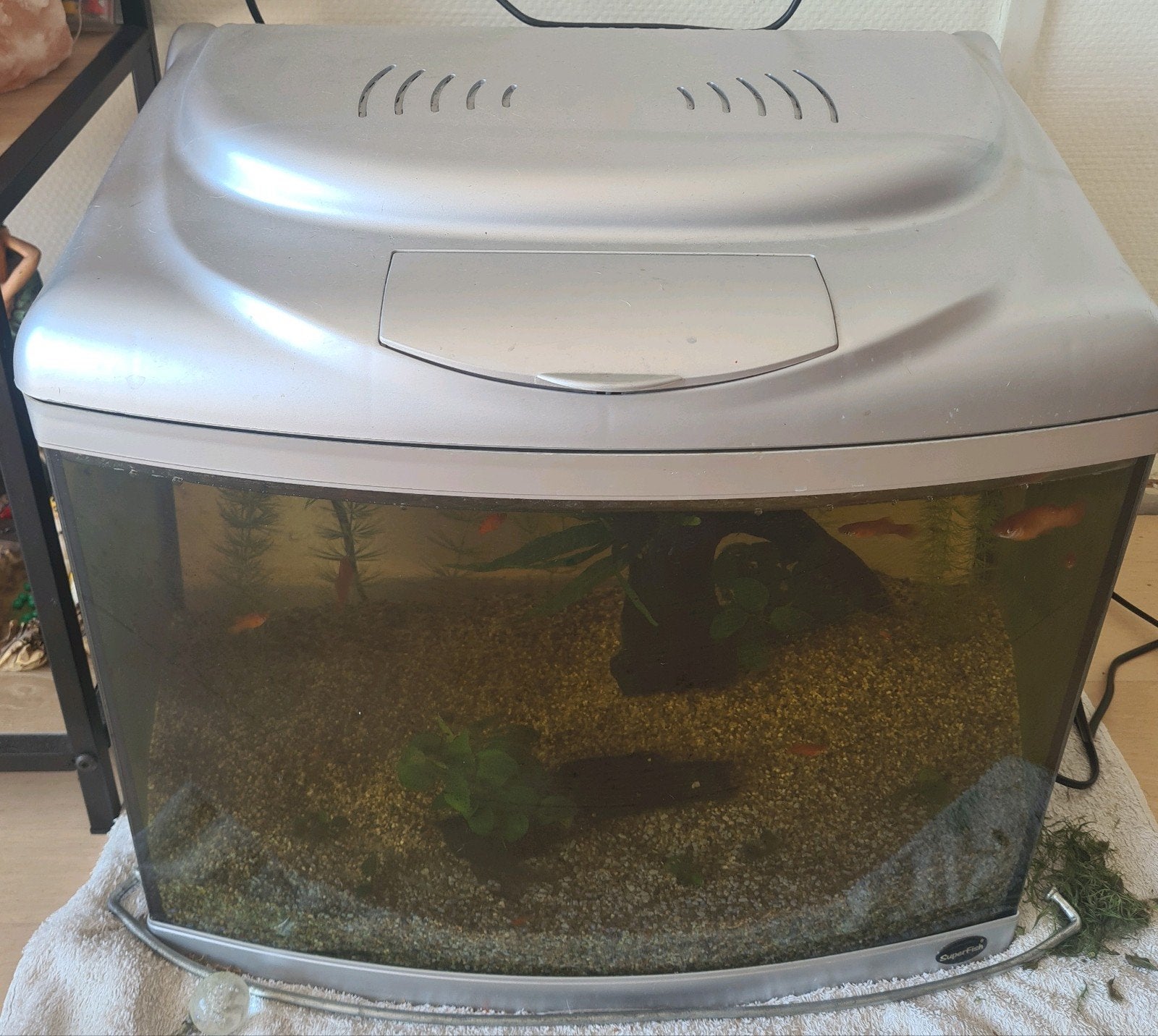 leeg panoramisch aquarium  47x43x34, Dieren en Toebehoren, Ophalen, Leeg aquarium