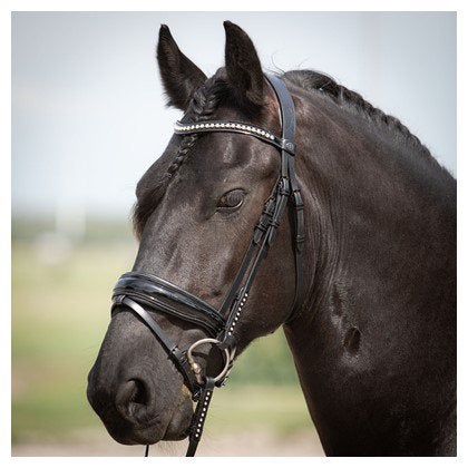 Harry’s horse hoofdstel diamond laque pony tm full  nieuw, Ophalen of Verzenden, Nieuw, Anatomisch gevormd
