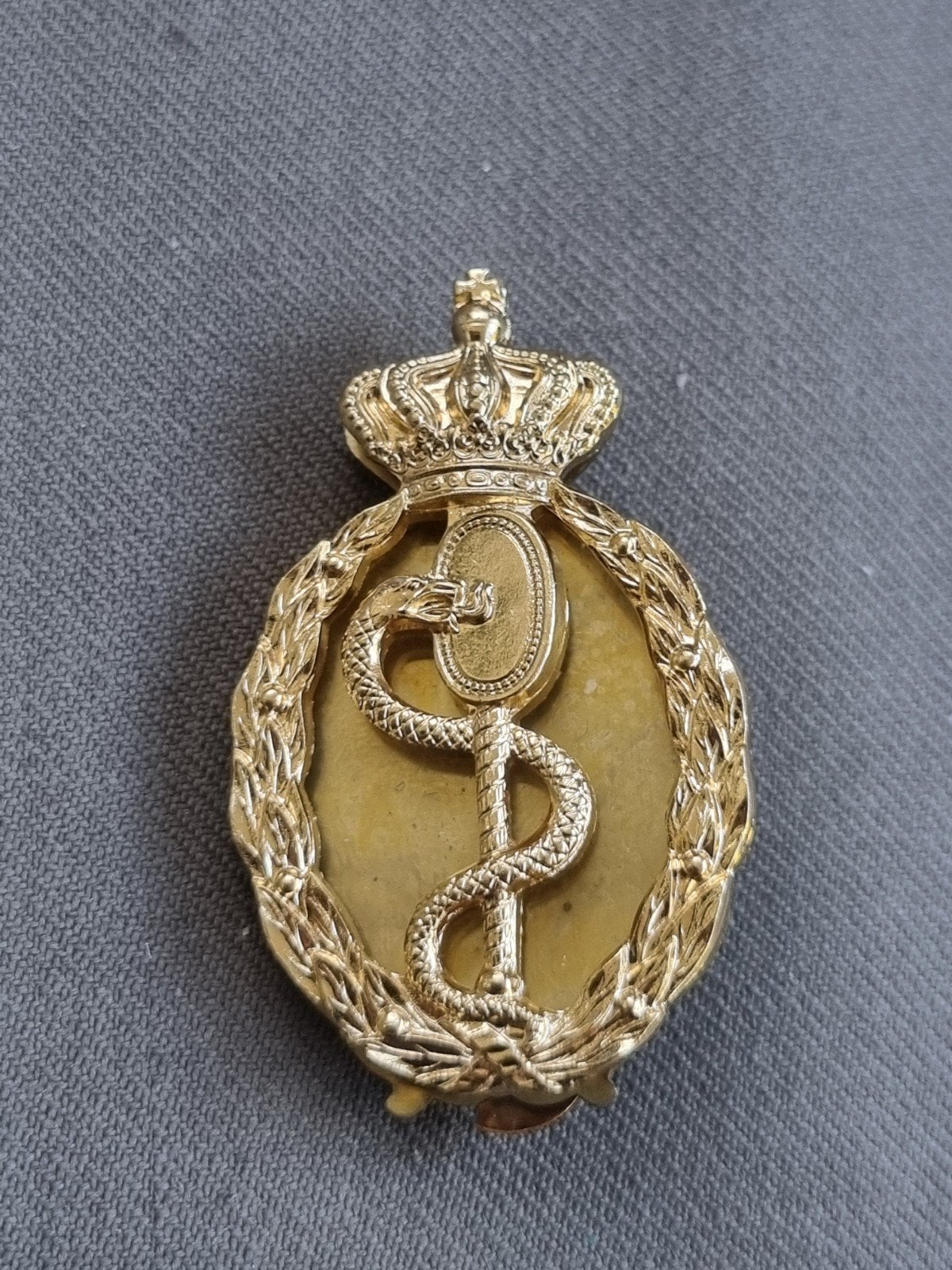 huidig Dt brevet militair Arts, Ophalen of Verzenden, Landmacht, Nederland, Embleem of Badge