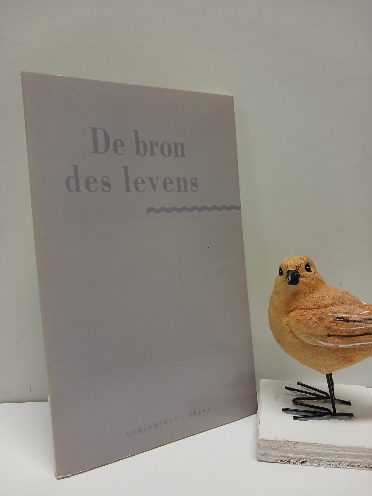 Kohlbrugge, Dr. H.f.; De bron des levens, Ophalen of Verzenden, Gelezen, Christendom | Protestants