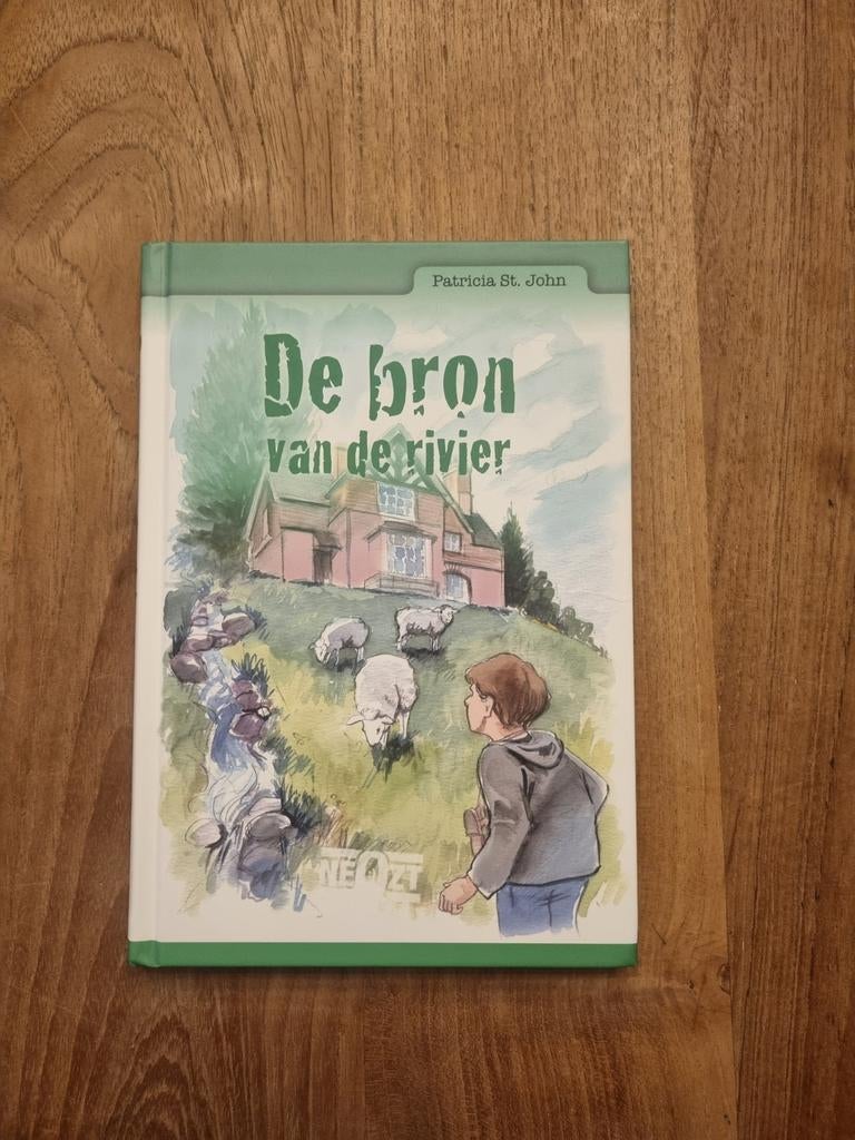 De bron van de rivier - Patricia St. John, Boeken, Ophalen of Verzenden, Gelezen, Patricia St. John, Fictie algemeen