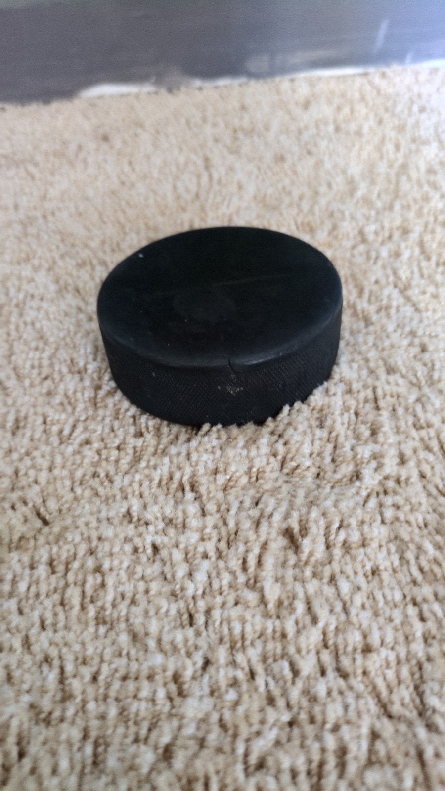 IJshockeypuck - Gebruikt maar in goede staat, Sport en Fitness, Ophalen of Verzenden, Gebruikt, Puck