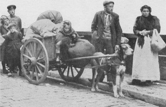 VervoerBeoepen-Foto-23     Repro-, Ophalen of Verzenden, Voor 1940, Overige onderwerpen