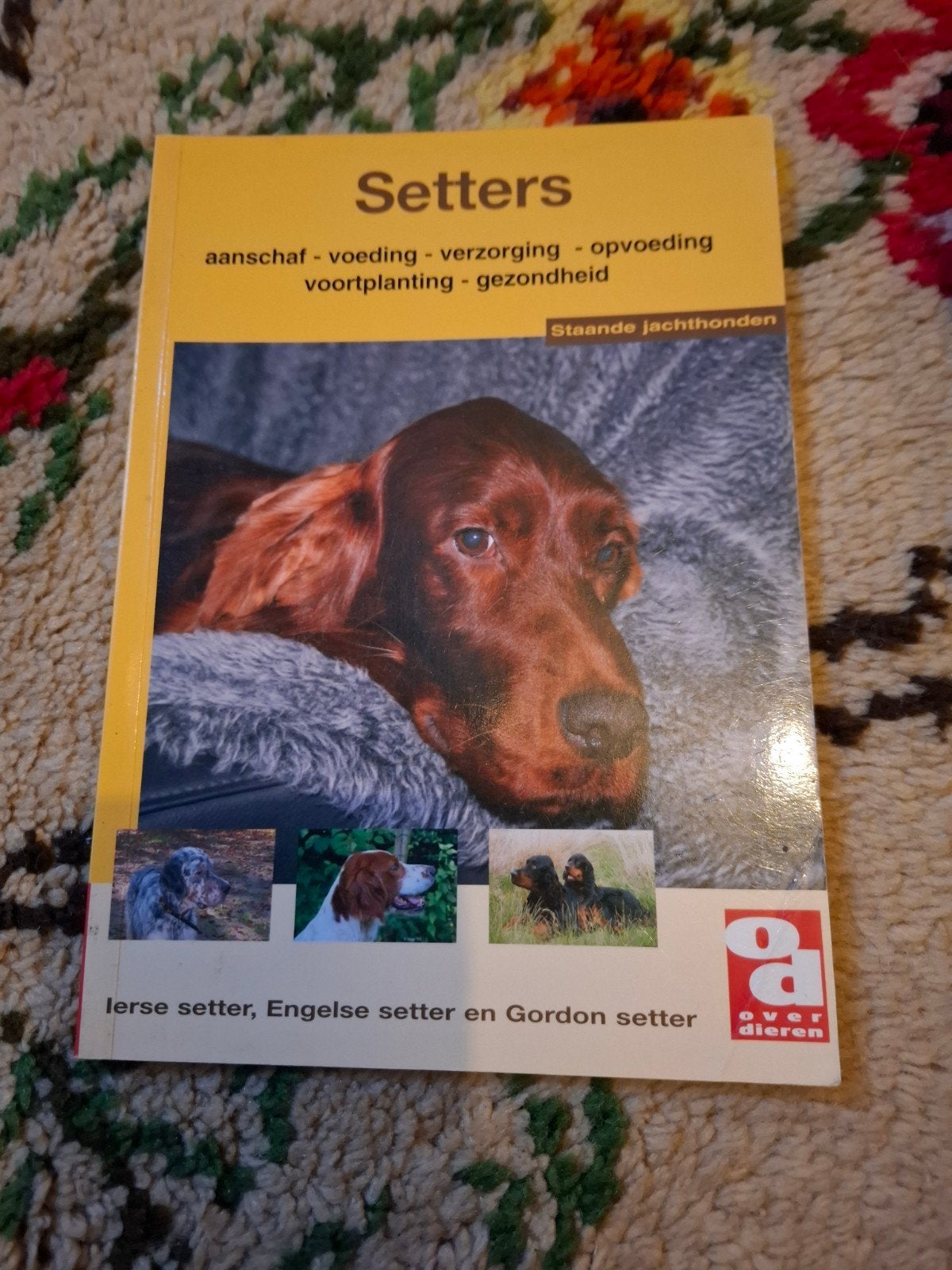 Boek Setters: aanschaf, voeding, verzorging en meer, Ophalen of Verzenden, Gelezen, Honden