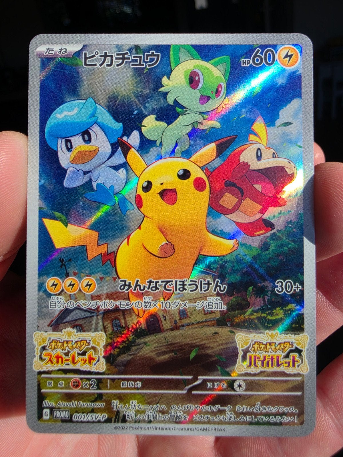 Pikachu (SV-P 001)
Scarlet & Violet Promos, Ophalen of Verzenden, Zo goed als nieuw