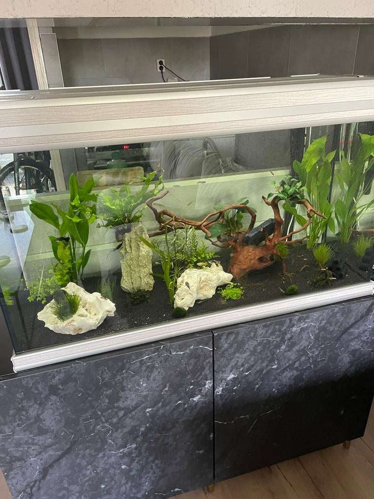Aquarium aquatlantis 120, Ophalen of Verzenden, Leeg aquarium