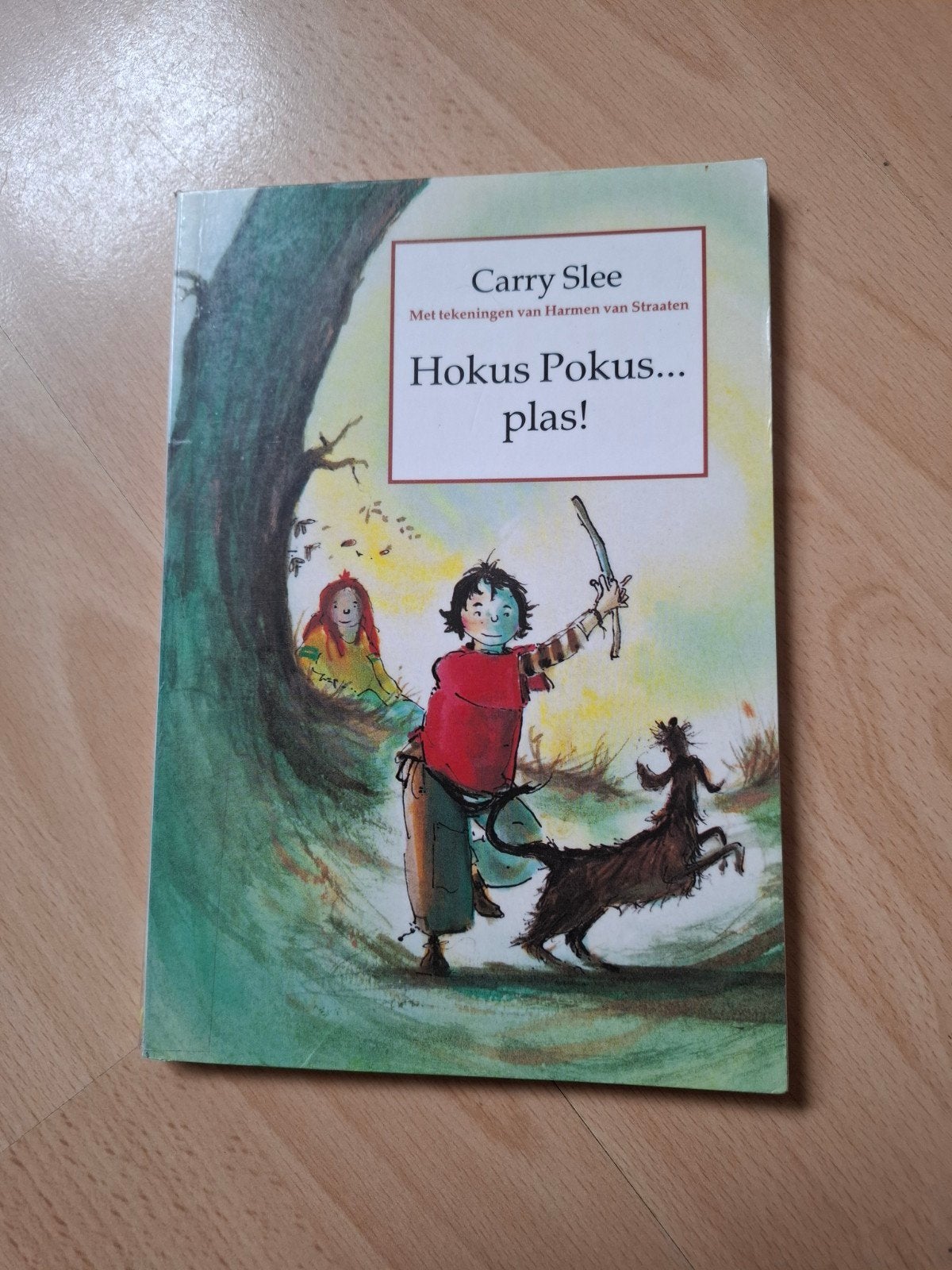 Carry Slee Hokus pokus plas!, Ophalen of Verzenden, Zo goed als nieuw
