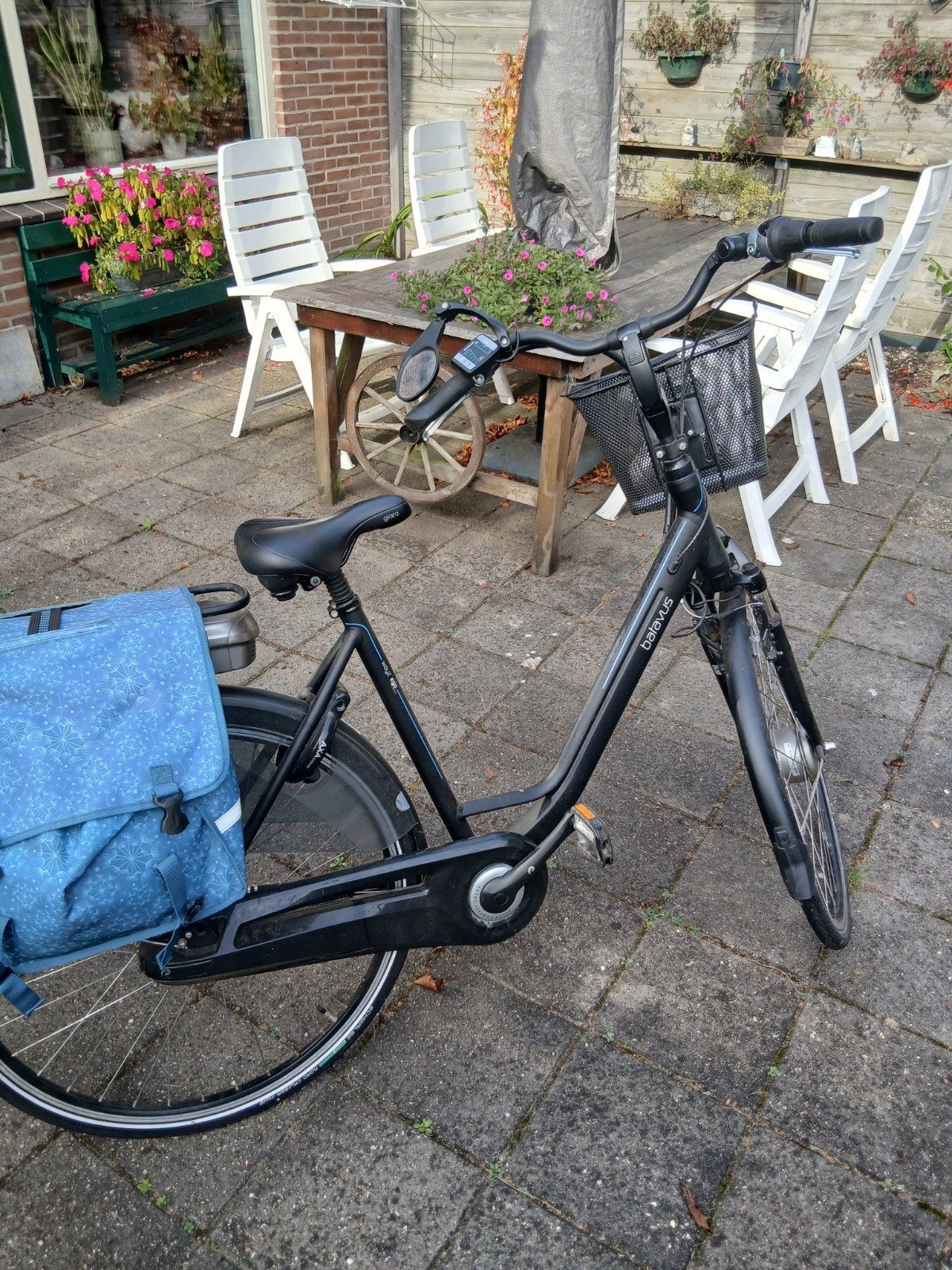 Bataven e dames  fiets