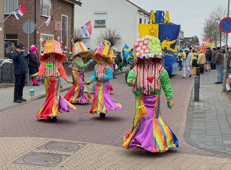 Carnavalskleding: 5 hoeden/lampenkappen en 2 rokken, Kleding | Dames, Handgemaakt, Ophalen, Zo goed als nieuw