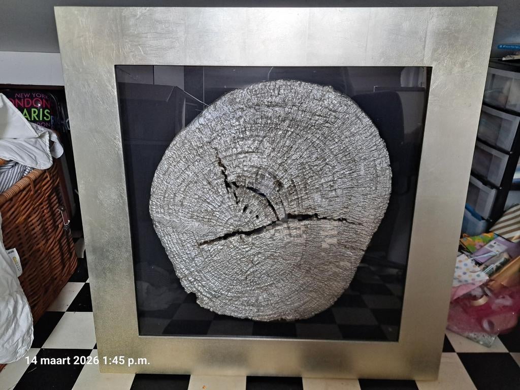 Wanddecoratie - zilverkleurige boomstamschijf, Ophalen, Minder dan 50 cm, Schilderij, Minder dan 50 cm