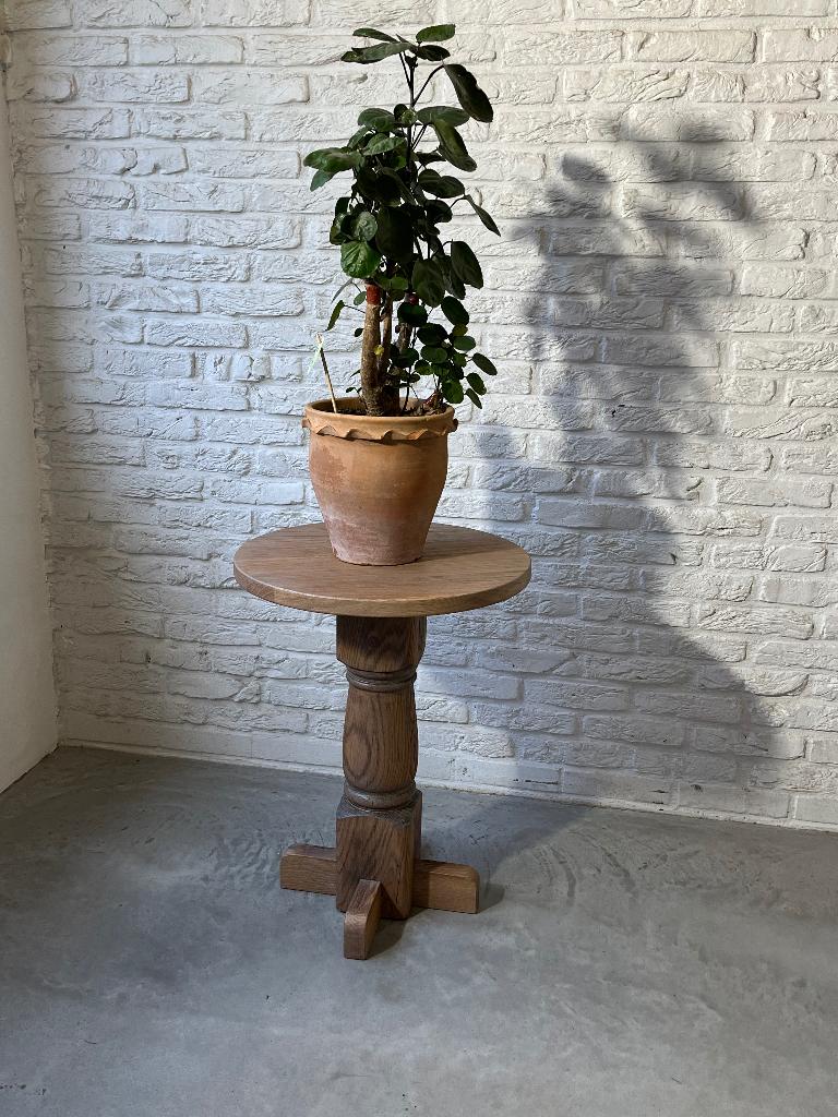 Plantentafeltje, Eikenhout, Nieuw, Ophalen of Verzenden, 25 tot 50 cm